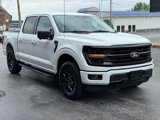 Used 2024 Ford F150 XLT image 3