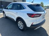 Used 2024 Ford Escape Active image 6