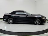 Used 2016 Ford Mustang Premium w/ Equipment Group 201A image 4