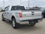 Used 2013 Ford F150 XLT w/ XLT Chrome Pkg image 3