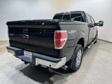 Used 2012 Ford F150 XLT w/ XLT Chrome Pkg image 6