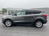 Used 2019 Ford Escape SE image 4