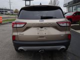 Used 2020 Ford Escape SE image 4