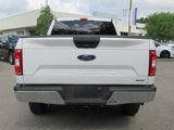 Used 2019 Ford F150 XLT image 6