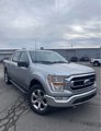 Used 2021 Ford F150 XLT w/ Equipment Group 301A Mid image 2