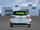 Used 2022 Ford Escape SEL image 5