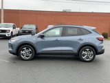 New 2025 Ford Escape ST-Line w/ Tech Pack #1 image 3