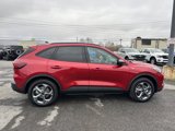 New 2025 Ford Escape ST-Line w/ Cold Weather Package image 5