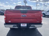 Used 2020 Ford F150 XLT image 4