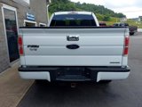 Used 2012 Ford F150 STX w/ STX Decor Pkg image 4