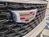 New 2025 Cadillac XT4 Premium Luxury w/ Technology Package image 2