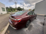 Used 2017 Honda Accord EX-L image 6