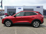 Used 2021 Ford Escape SEL image 2