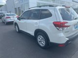 Used 2019 Subaru Forester w/ Alloy Wheel Package image 5