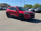 Used 2020 Ford Escape SE image 2