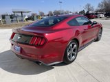 Used 2016 Ford Mustang Premium w/ Equipment Group 201A image 4
