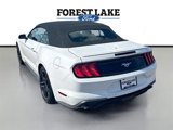 Certified 2022 Ford Mustang Premium image 5