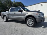 Used 2013 Ford F150 Platinum image 3