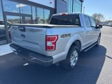 Used 2019 Ford F150 XLT w/ Equipment Group 302A Luxury image 2