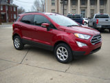 Used 2019 Ford EcoSport SE image 2