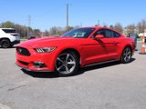 Used 2017 Ford Mustang Coupe w/ Enhanced Security Package image 6