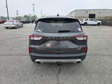 Used 2020 Ford Escape Titanium image 4