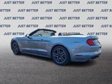 Used 2020 Ford Mustang Premium image 4