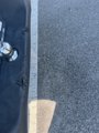 Used 2020 Ford F150 XLT w/ Equipment Group 302A Luxury image 4