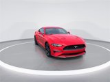 Used 2019 Ford Mustang Coupe w/ Equipment Group 101A image 3