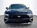 Used 2019 Ford Mustang Premium image 2