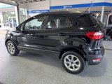 Used 2020 Ford EcoSport SE image 5