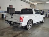 Used 2017 Ford F150 XLT w/ Equipment Group 302A Luxury image 2