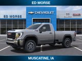 New 2025 GMC Sierra 3500 Pro w/ Convenience Package image 2