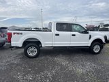 Used 2019 Ford F250 XL w/ STX Appearance Package image 5