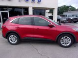 Used 2020 Ford Escape SE image 4