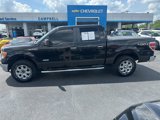 Used 2013 Ford F150 XLT w/ XLT Chrome Pkg image 4