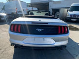 Used 2019 Ford Mustang Premium image 5