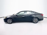 Used 2023 Nissan Altima 2.5 SV image 4