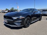 Certified 2019 Ford Mustang Coupe image 3