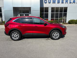 Used 2023 Ford Escape Active w/ Tech Pack #2 image 2