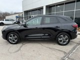 Used 2023 Ford Escape ST-Line w/ Tech Pack #1 image 4