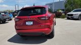 Used 2024 Ford Escape ST-Line image 5