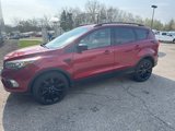 Used 2019 Ford Escape SE image 2