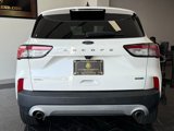 Used 2020 Ford Escape SEL image 5