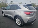 Used 2020 Ford Escape SE image 3