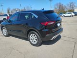 Used 2024 Ford Escape Active image 3