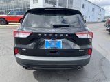 Used 2022 Ford Escape SE w/ SE Sport Appearance Package image 4