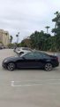 Used 2010 Lexus IS 250C image 5