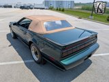 Used 1992 Pontiac Firebird Trans Am image 4