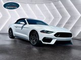 Used 2019 Ford Mustang Premium image 3